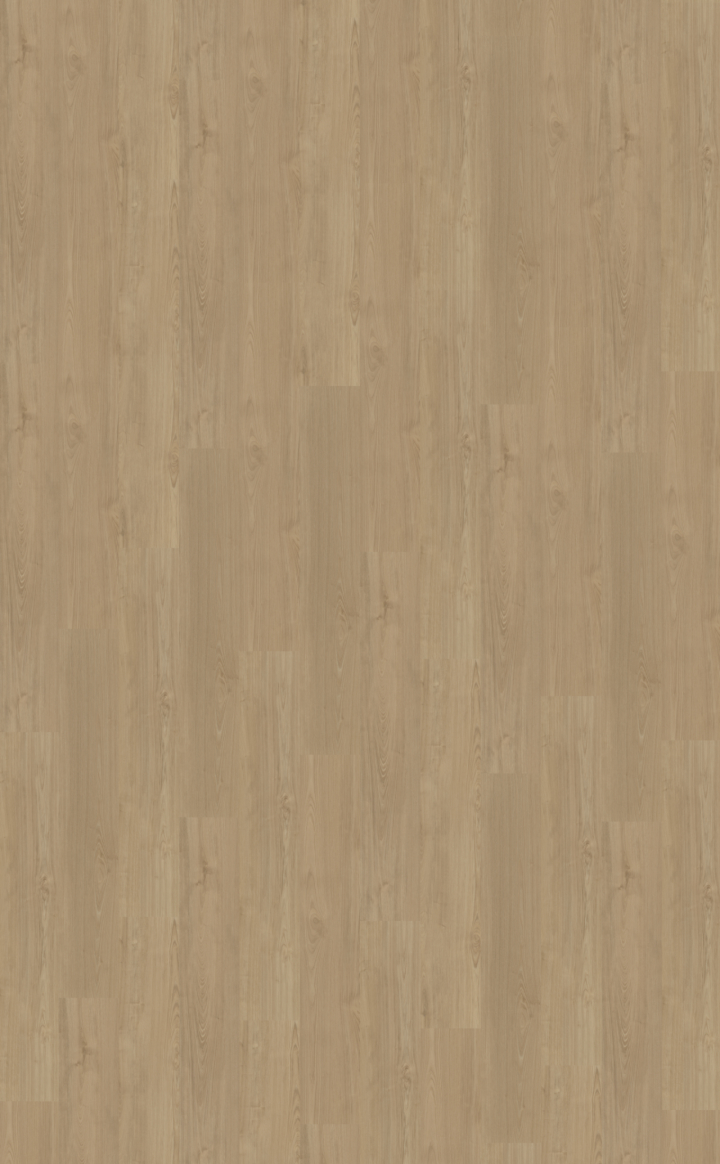 Portico 540 | Rigid Click