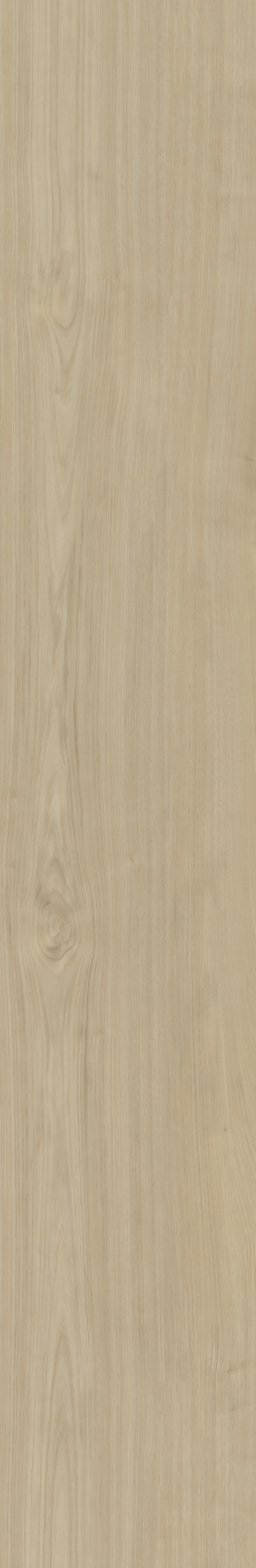 Portico 570 | Rigid Click