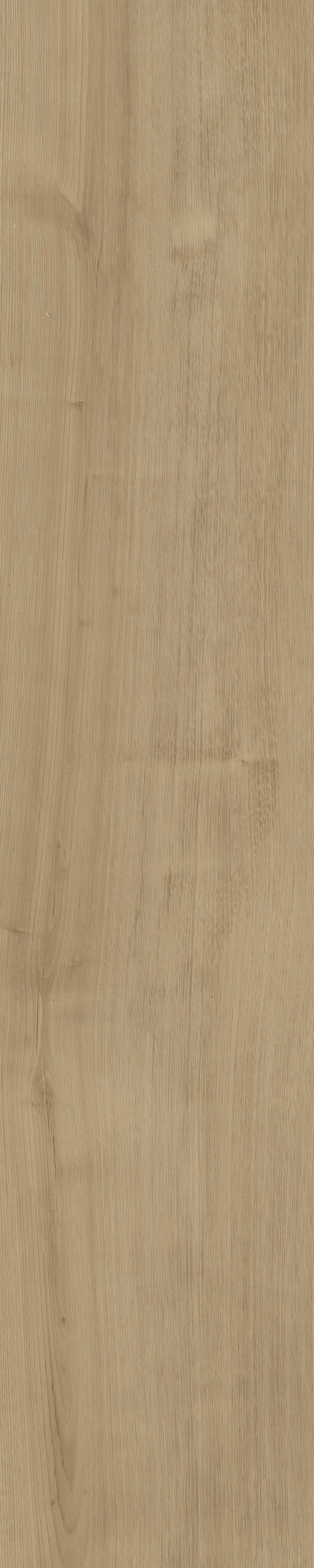 Portico visgraat XL 54 | Rigid Click