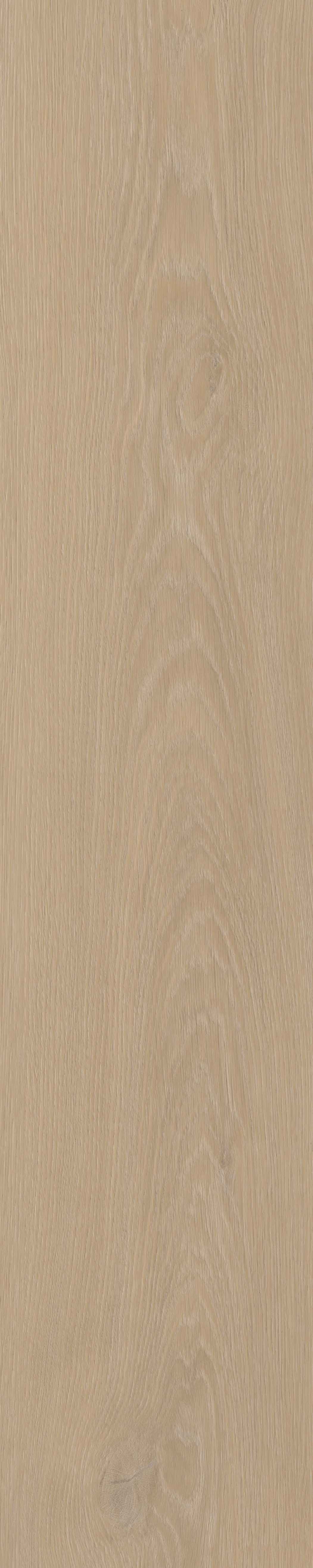 Cervo Walvisgraat W20