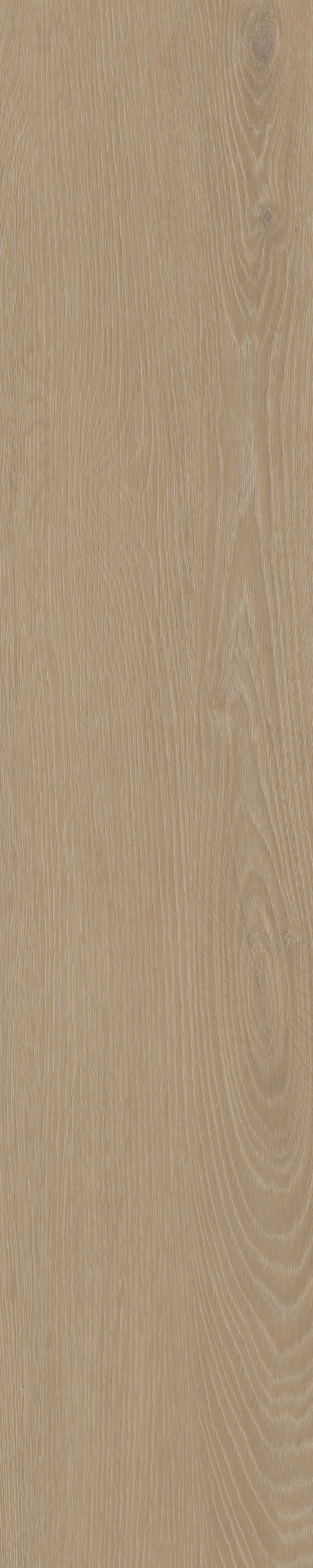 Cervo Walvisgraat W21