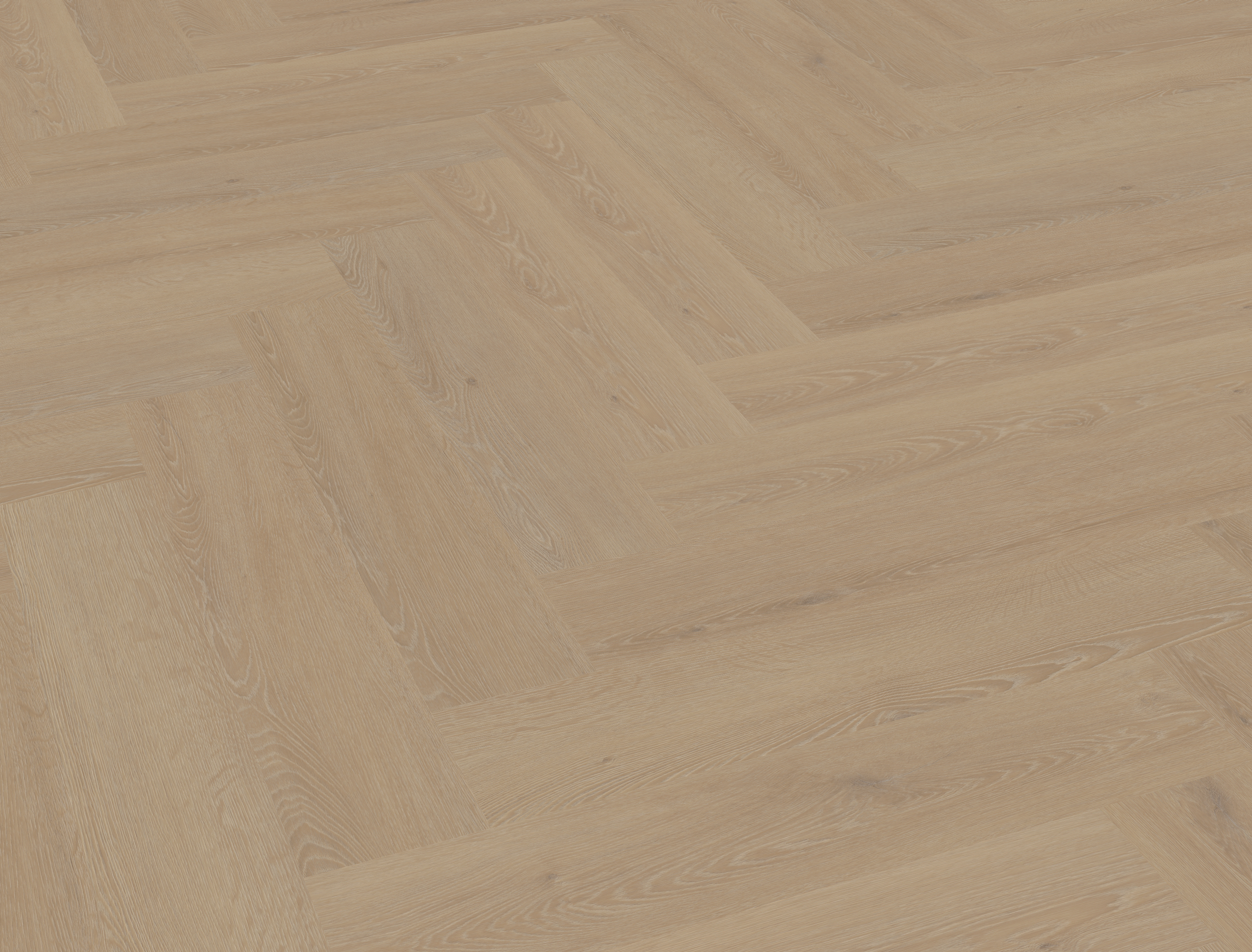 Cervo Walvisgraat W20