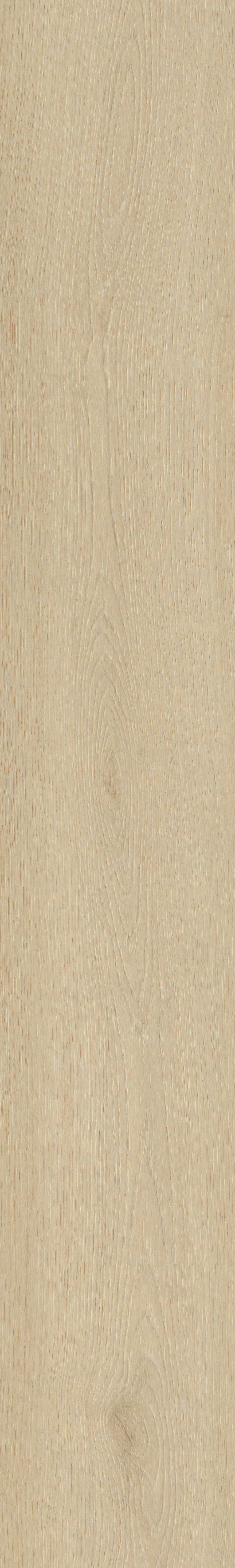 Borgo 330 | Rigid Click