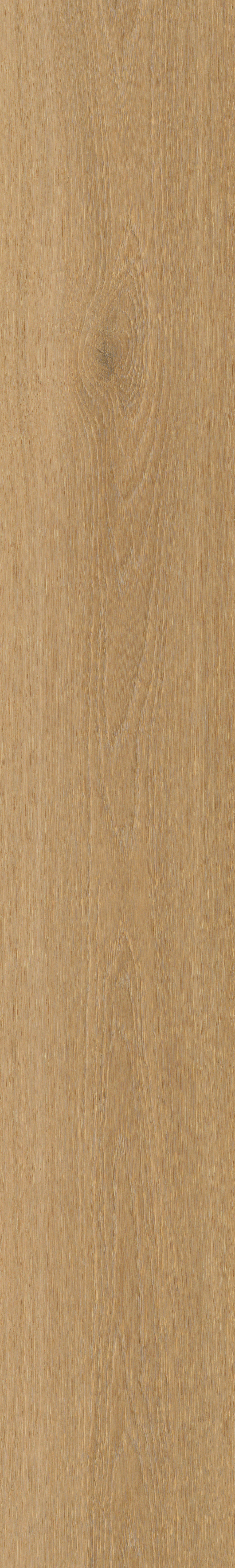 Borgo 320 | Rigid Click